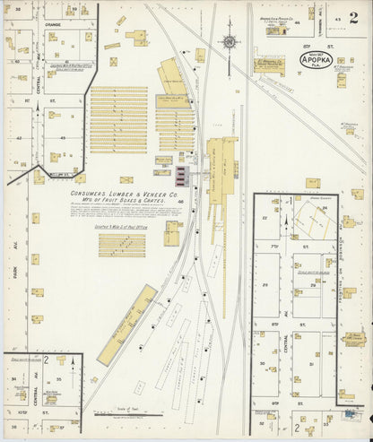 Sanborn Fire Insurance Map from Apopka, Orange County, Florida (1917), Sheet #0002 - Historic Sanborn Fire Insurance Map Print, vintage old map wall art, antique decor, genealogy gift, Florida Florida map