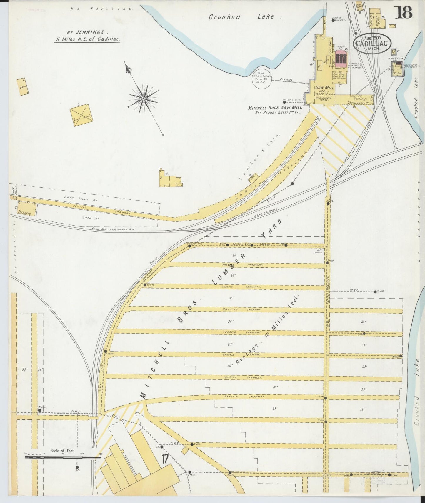 Sanborn Fire Insurance Map from Cadillac, Wexford County, Michigan (1900), Sheet #0018 - Historic Sanborn Fire Insurance Map Print, vintage old map wall art, antique decor, genealogy gift, Michigan Michigan map