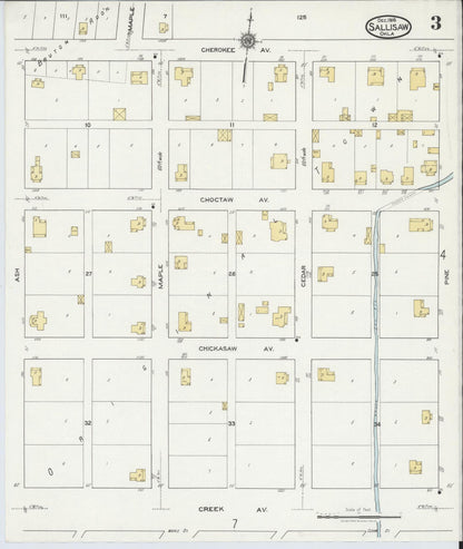Sanborn Fire Insurance Map from Sallisaw, Sequoyah County, Oklahoma (1918), Sheet #0003 - Complete Map Set gallery image, historic Sanborn map, vintage wall art, Oklahoma Oklahoma