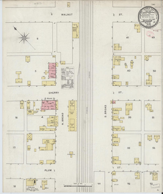 Sanborn Fire Insurance Map from Jesup, Wayne County, Georgia (1895), Sheet #0001 - Historic Sanborn Fire Insurance Map Print, vintage old map wall art, antique decor, genealogy gift, Georgia Georgia map