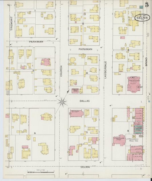 Sanborn Fire Insurance Map from Selma, Dallas County, Alabama (1893), Sheet #0005 - Historic Sanborn Fire Insurance Map Print, vintage old map wall art, antique decor, genealogy gift, Alabama Alabama map