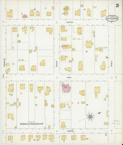 Sanborn Fire Insurance Map from Louisburg, Franklin County, North Carolina (1904), Sheet #0003 - Complete Map Set gallery image, historic Sanborn map, vintage wall art, North Carolina North Carolina