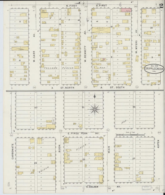 Sanborn Fire Insurance Map from Cripple Creek, Teller County, Colorado (1894), Sheet #0002 - Historic Sanborn Fire Insurance Map Print, vintage old map wall art, antique decor, genealogy gift, Colorado Colorado map