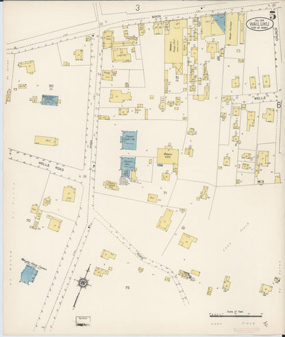 Sanborn Fire Insurance Map from Wailuku, Maui County, Hawaii (1914), Sheet #0005 - Historic Sanborn Fire Insurance Map Print, vintage old map wall art, antique decor, genealogy gift, Hawaii Hawaii map