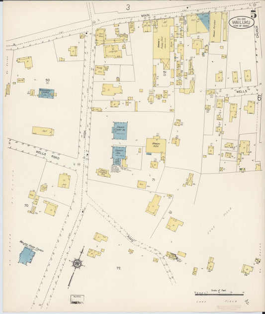 Sanborn Fire Insurance Map from Wailuku, Maui County, Hawaii (1914), Sheet #0005 - Historic Sanborn Fire Insurance Map Print, vintage old map wall art, antique decor, genealogy gift, Hawaii Hawaii map