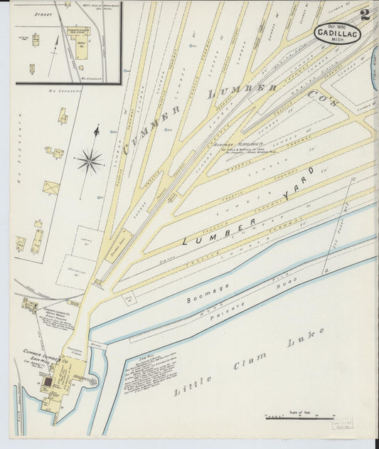 Sanborn Fire Insurance Map from Cadillac, Wexford County, Michigan (1890), Sheet #0002 - Historic Sanborn Fire Insurance Map Print, vintage old map wall art, antique decor, genealogy gift, Michigan Michigan map