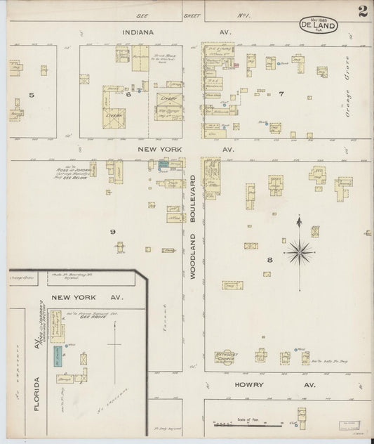 Sanborn Fire Insurance Map from De Land, Volusia County, Florida (1885), Sheet #0002 - Historic Sanborn Fire Insurance Map Print, vintage old map wall art, antique decor, genealogy gift, Florida Florida map