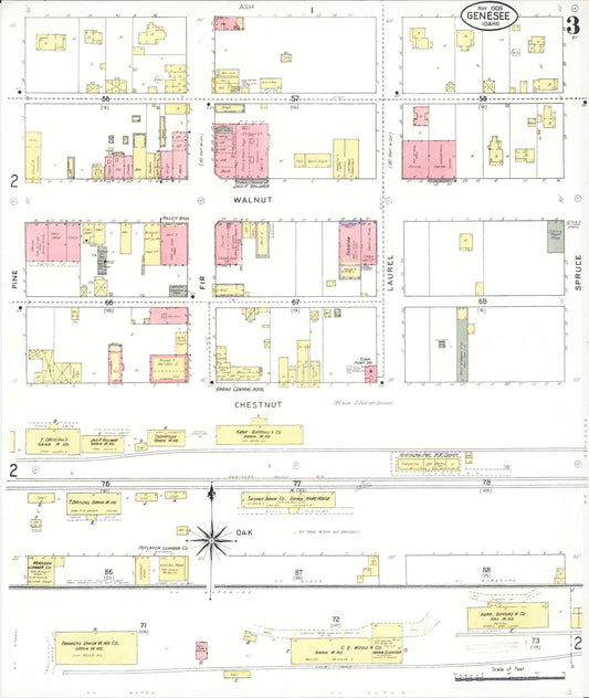 Sanborn Fire Insurance Map from Genesee, Latah County, Idaho (1909), Sheet #0003 - Historic Sanborn Fire Insurance Map Print, vintage old map wall art, antique decor, genealogy gift, Idaho Idaho map