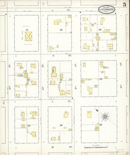 Sanborn Fire Insurance Map from Livermore, Alameda County, California (1893), Sheet #0005 - Historic Sanborn Fire Insurance Map Print, vintage old map wall art, antique decor, genealogy gift, California California map