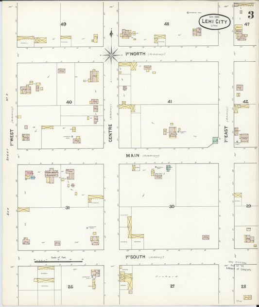 Sanborn Fire Insurance Map from Lehi, Utah County, Utah (1890), Sheet #0003 - Historic Sanborn Fire Insurance Map Print, vintage old map wall art, antique decor, genealogy gift, Lehi Utah map