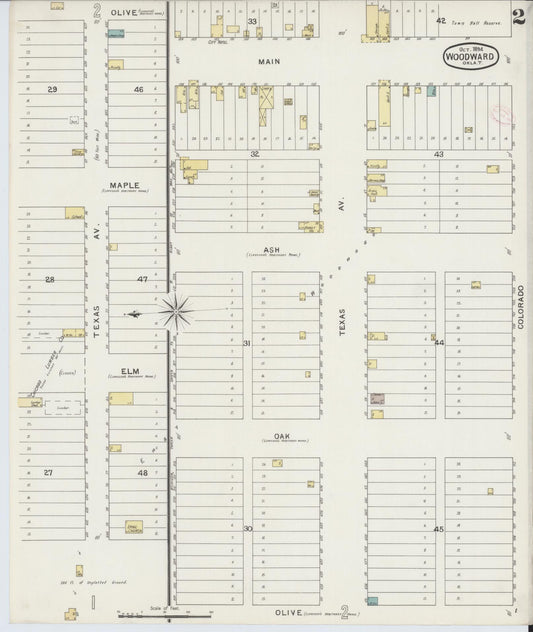 Sanborn Fire Insurance Map from Woodward, Woodward County, Oklahoma (1894), Sheet #0002 - Historic Sanborn Fire Insurance Map Print, vintage old map wall art, antique decor, genealogy gift, Oklahoma Oklahoma map