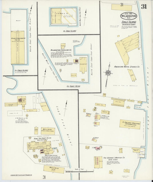 Sanborn Fire Insurance Map from Wilmington, New Hanover County, North Carolina (1910), Sheet #0031 - Historic Sanborn Fire Insurance Map Print, vintage old map wall art, antique decor, genealogy gift, North Carolina North Carolina map