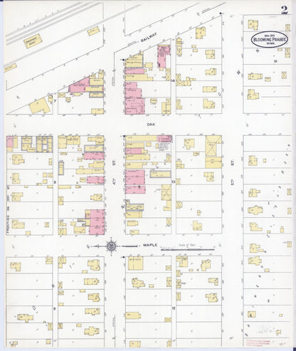Sanborn Fire Insurance Map from Blooming Prairie, Steele County, Minnesota (1910), Sheet #0002 - Complete Map Set gallery image, historic Sanborn map, vintage wall art, Minnesota Minnesota