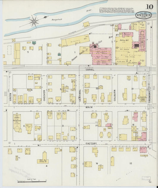 Sanborn Fire Insurance Map from Ansonia, New Haven County, Connecticut (1895), Sheet #0010 - Historic Sanborn Fire Insurance Map Print, vintage old map wall art, antique decor, genealogy gift, Connecticut Connecticut map