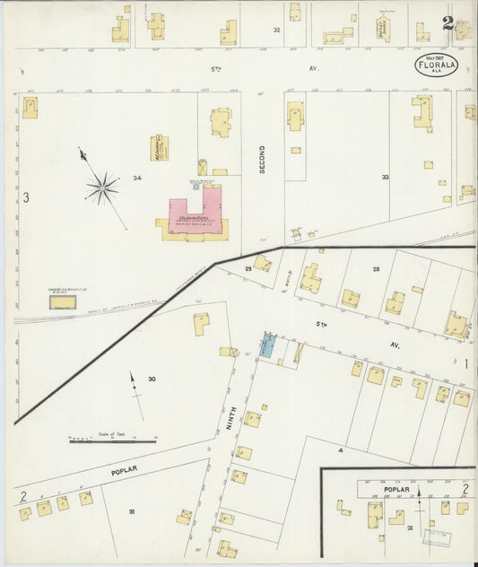 Sanborn Fire Insurance Map from Florala, Covington County, Alabama (1907), Sheet #0002 - Historic Sanborn Fire Insurance Map Print, vintage old map wall art, antique decor, genealogy gift, Alabama Alabama map