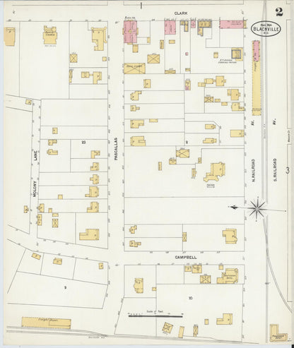 Sanborn Fire Insurance Map from Blackville, Barnwell County, South Carolina (1904), Sheet #0002 - Complete Map Set gallery image, historic Sanborn map, vintage wall art, South Carolina South Carolina