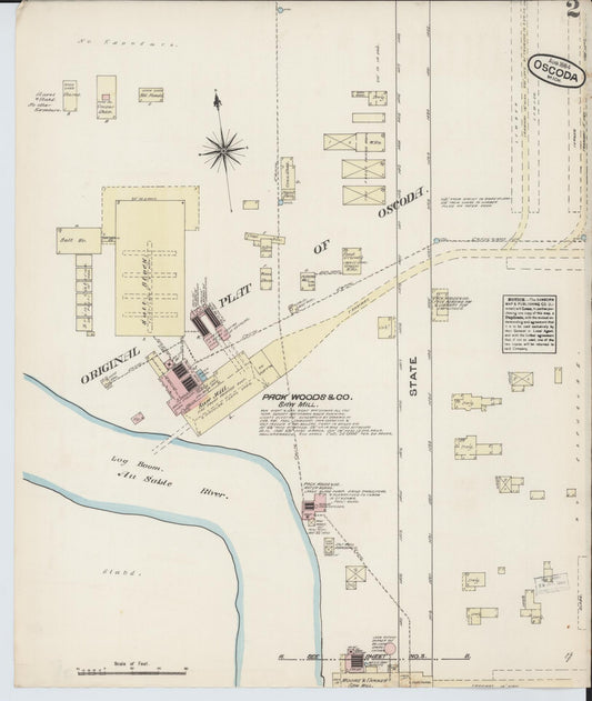 Sanborn Fire Insurance Map from Oscoda, Iosco County, Michigan (1884), Sheet #0002 - Historic Sanborn Fire Insurance Map Print, vintage old map wall art, antique decor, genealogy gift, Michigan Michigan map