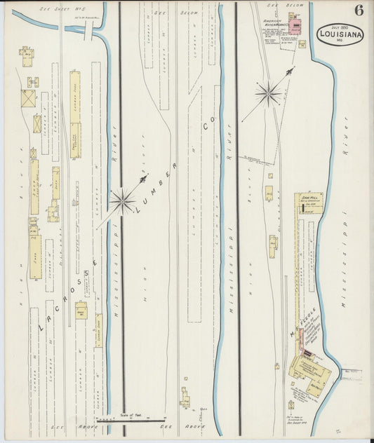Sanborn Fire Insurance Map from Louisiana, Pike County, Missouri (1890), Sheet #0006 - Historic Sanborn Fire Insurance Map Print, vintage old map wall art, antique decor, genealogy gift, Missouri Missouri map
