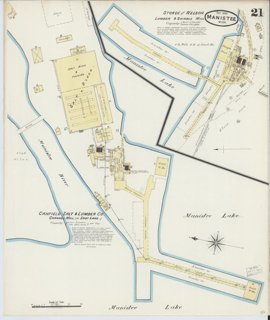 Sanborn Fire Insurance Map from Manistee, Manistee County, Michigan (1890), Sheet #0021 - Historic Sanborn Fire Insurance Map Print, vintage old map wall art, antique decor, genealogy gift, Michigan Michigan map