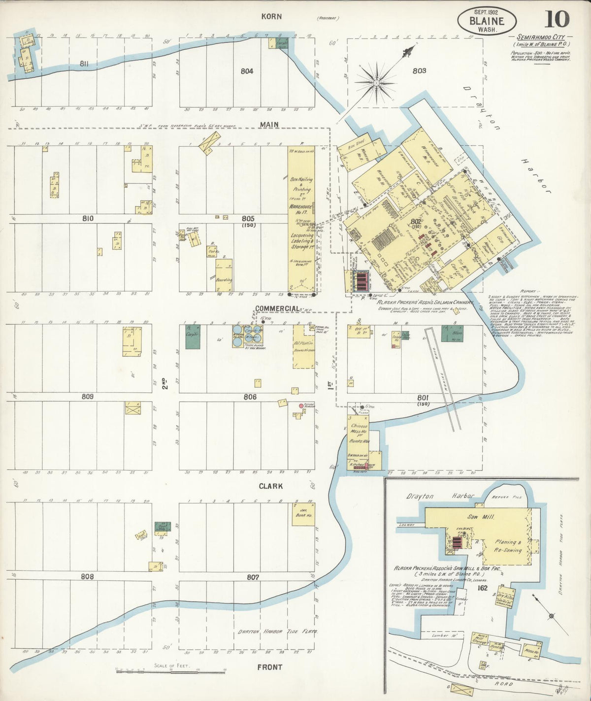 Sanborn Fire Insurance Map from Blaine, Whatcom County, Washington (1902), Sheet #0010 - Historic Sanborn Fire Insurance Map Print, vintage old map wall art, antique decor, genealogy gift, Washington Washington map