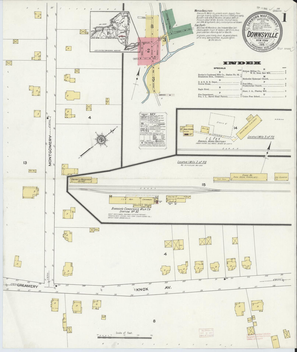 Sanborn Fire Insurance Map from Downsville, Delaware County, New York (1915), Sheet #0001 - Historic Sanborn Fire Insurance Map Print, vintage old map wall art, antique decor, genealogy gift, Downsville Delaware map
