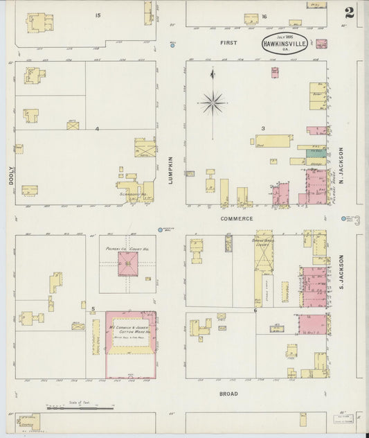 Sanborn Fire Insurance Map from Hawkinsville, Pulaski County, Georgia (1895), Sheet #0002 - Historic Sanborn Fire Insurance Map Print, vintage old map wall art, antique decor, genealogy gift, Georgia Georgia map