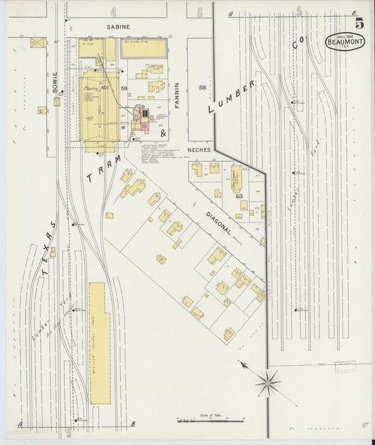 Sanborn Fire Insurance Map from Beaumont, Jefferson County, Texas (1894), Sheet #0005 - Historic Sanborn Fire Insurance Map Print, vintage old map wall art, antique decor, genealogy gift, Texas Texas map