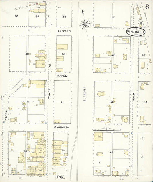 Sanborn Fire Insurance Map from Centralia, Lewis County, Washington (1891), Sheet #0008 - Historic Sanborn Fire Insurance Map Print, vintage old map wall art, antique decor, genealogy gift, Washington Washington map