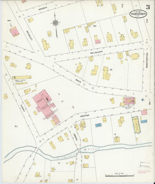 Sanborn Fire Insurance Map from Trumansburg, Tompkins County, New York (1910), Sheet #0003 - Historic Sanborn Fire Insurance Map Print, vintage old map wall art, antique decor, genealogy gift, New York New York map