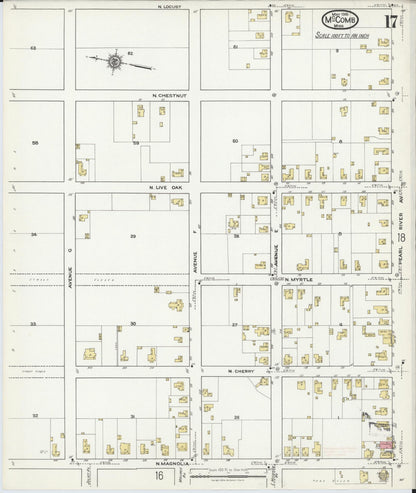 Sanborn Fire Insurance Map from McComb, Pike County, Mississippi (1918), Sheet #0017 - Complete Map Set gallery image, historic Sanborn map, vintage wall art, Mississippi Mississippi