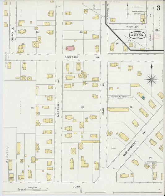 Sanborn Fire Insurance Map from Akron, Erie County, New York (1894), Sheet #0003 - Historic Sanborn Fire Insurance Map Print, vintage old map wall art, antique decor, genealogy gift, New York New York map