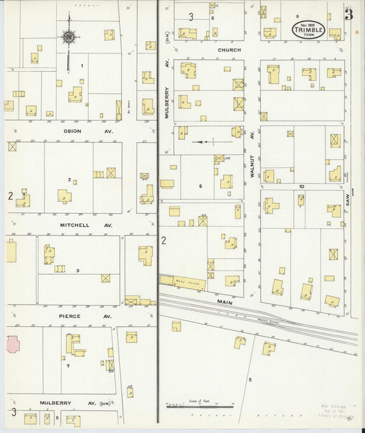 Sanborn Fire Insurance Map from Trimble, Dyer County, Tennessee (1909), Sheet #0003 - Historic Sanborn Fire Insurance Map Print, vintage old map wall art, antique decor, genealogy gift, Tennessee Tennessee map