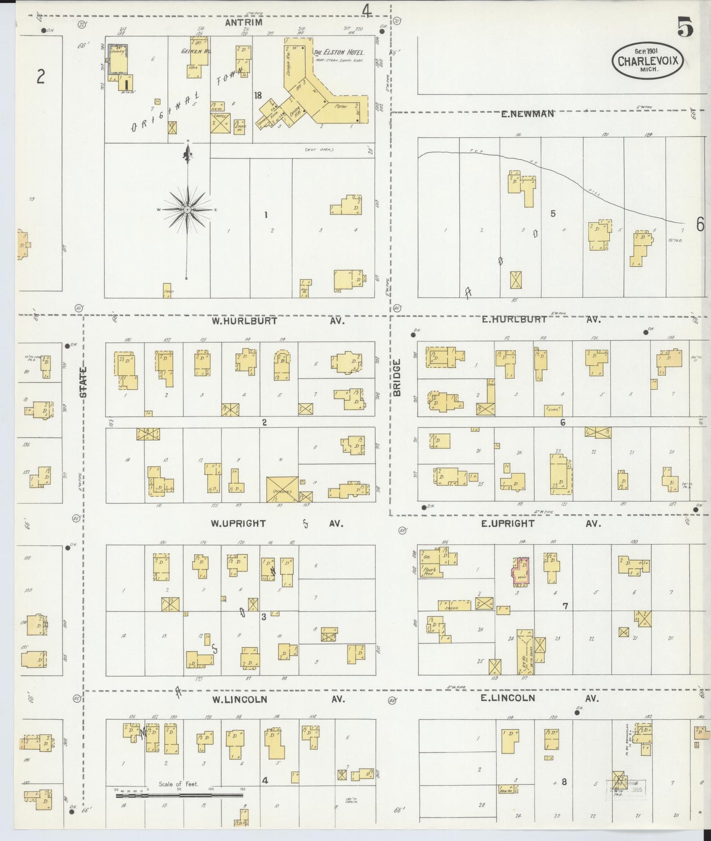 Sanborn Fire Insurance Map from Charlevoix, Charlevoix County, Michigan (1901), Sheet #0005 - Historic Sanborn Fire Insurance Map Print, vintage old map wall art, antique decor, genealogy gift, Michigan Michigan map