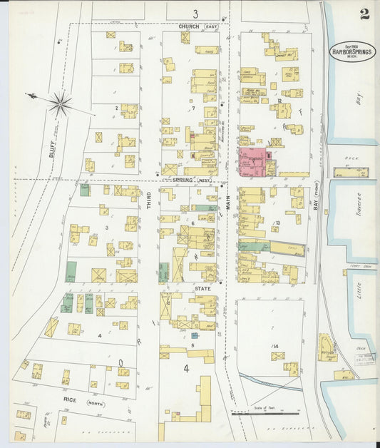 Sanborn Fire Insurance Map from Harbor Springs, Emmet County, Michigan (1900), Sheet #0002 - Historic Sanborn Fire Insurance Map Print, vintage old map wall art, antique decor, genealogy gift, Michigan Michigan map