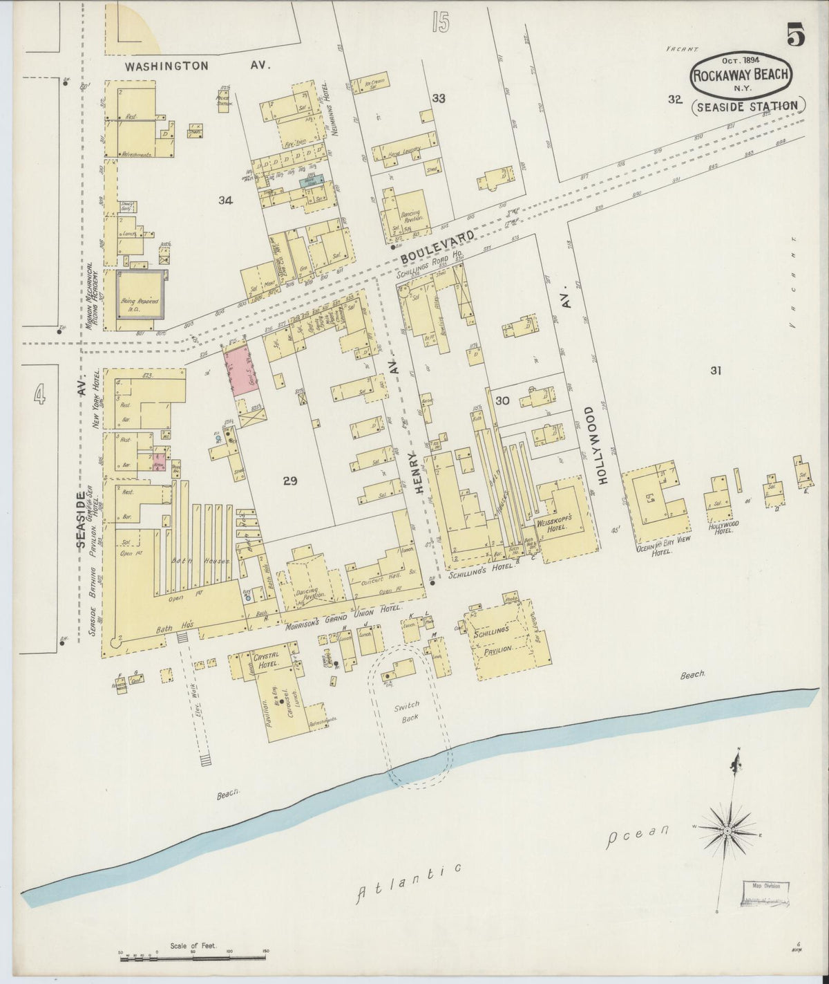 Sanborn Fire Insurance Map from Rockaway Beach, Queens County, New York (1894), Sheet #0005 - Historic Sanborn Fire Insurance Map Print, vintage old map wall art, antique decor, genealogy gift, New York New York map