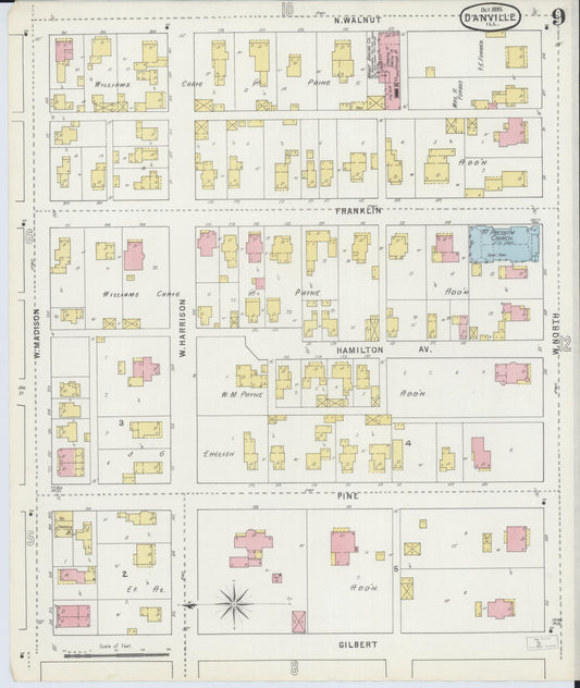 Sanborn Fire Insurance Map from Danville, Vermilion County, Illinois (1895), Sheet #0009 - Historic Sanborn Fire Insurance Map Print, vintage old map wall art, antique decor, genealogy gift, Illinois Illinois map