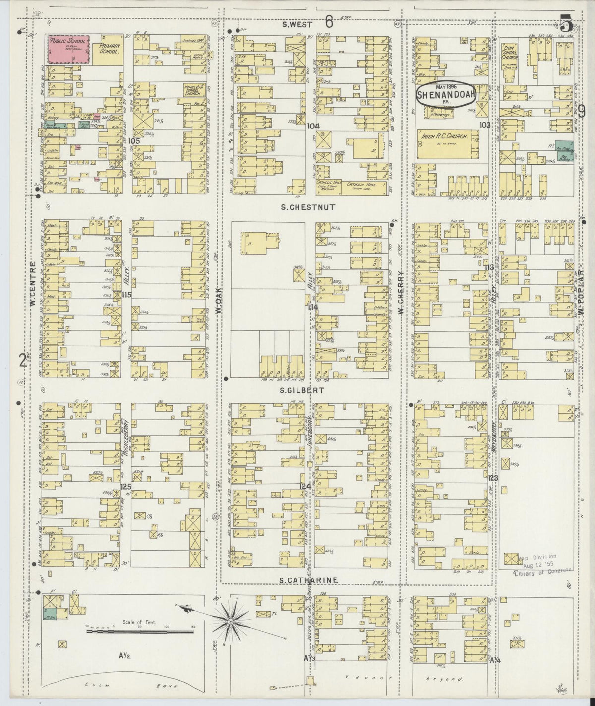 Sanborn Fire Insurance Map from Shenandoah, Schuylkill County, Pennsylvania (1896), Sheet #0005 - Historic Sanborn Fire Insurance Map Print, vintage old map wall art, antique decor, genealogy gift, Pennsylvania Pennsylvania map