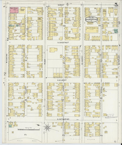 Sanborn Fire Insurance Map from Shenandoah, Schuylkill County, Pennsylvania (1896), Sheet #0005 - Historic Sanborn Fire Insurance Map Print, vintage old map wall art, antique decor, genealogy gift, Pennsylvania Pennsylvania map