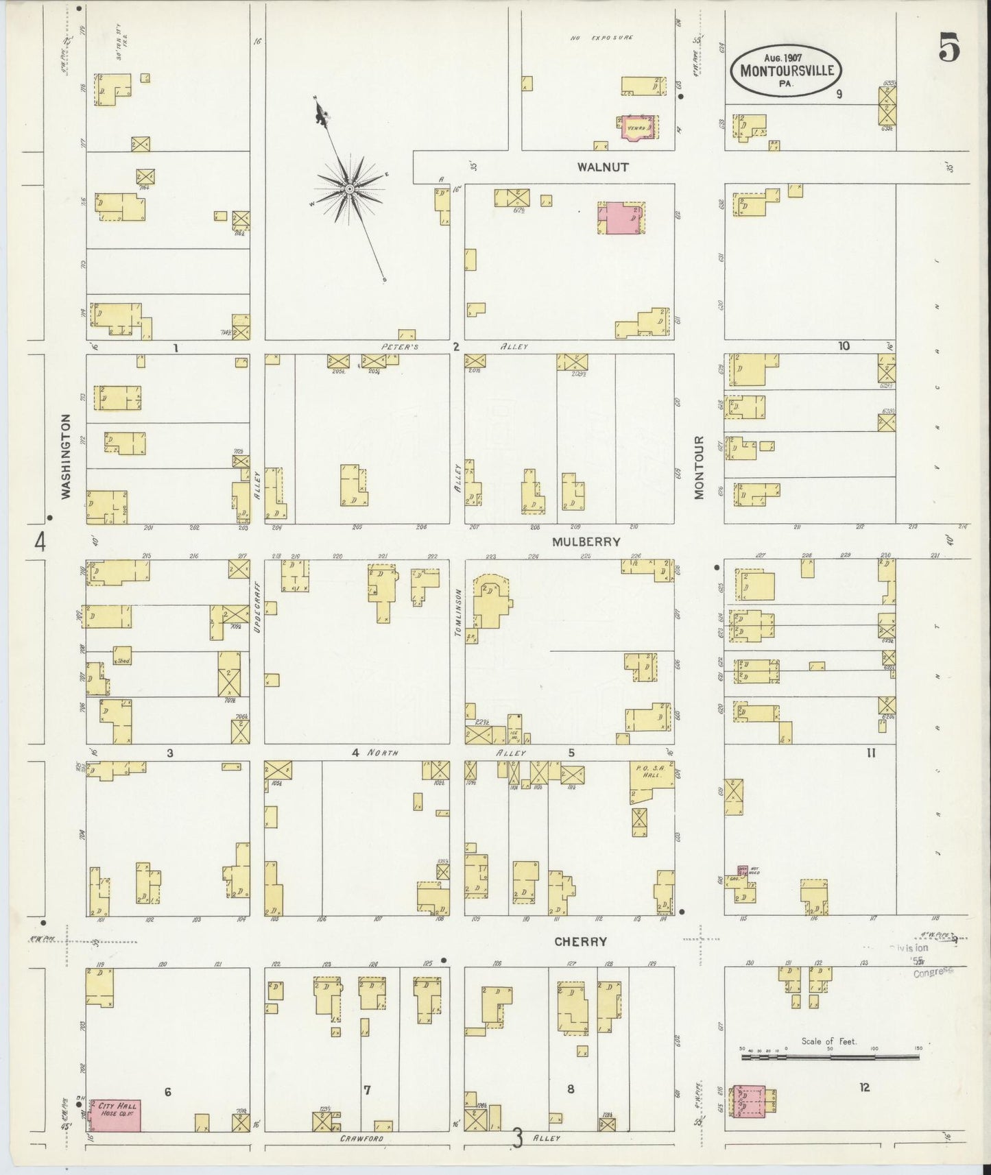 Sanborn Fire Insurance Map from Montoursville, Lycoming County, Pennsylvania (1907), Sheet #0005 - Historic Sanborn Fire Insurance Map Print, vintage old map wall art, antique decor, genealogy gift, Pennsylvania Pennsylvania map