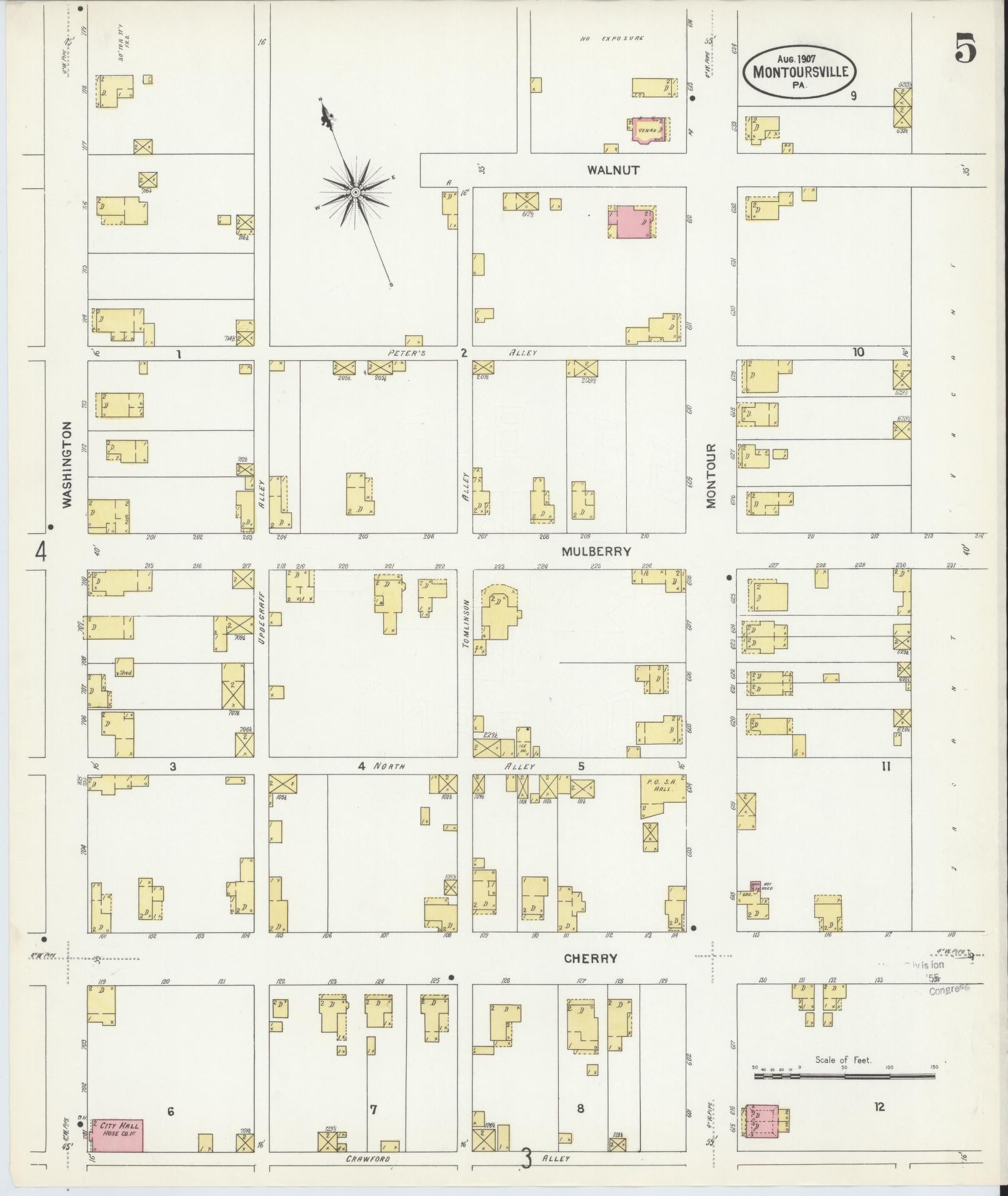Sanborn Fire Insurance Map from Montoursville, Lycoming County, Pennsylvania (1907), Sheet #0005 - Historic Sanborn Fire Insurance Map Print, vintage old map wall art, antique decor, genealogy gift, Pennsylvania Pennsylvania map