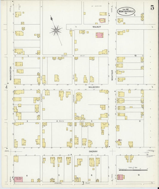 Sanborn Fire Insurance Map from Montoursville, Lycoming County, Pennsylvania (1907), Sheet #0005 - Historic Sanborn Fire Insurance Map Print, vintage old map wall art, antique decor, genealogy gift, Pennsylvania Pennsylvania map