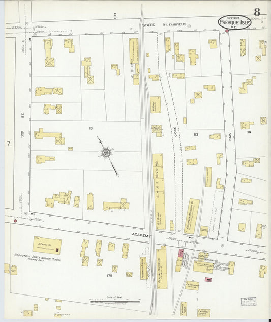 Sanborn Fire Insurance Map from Presque Isle, Aroostook County, Maine (1917), Sheet #0008 - Historic Sanborn Fire Insurance Map Print, vintage old map wall art, antique decor, genealogy gift, Maine Maine map