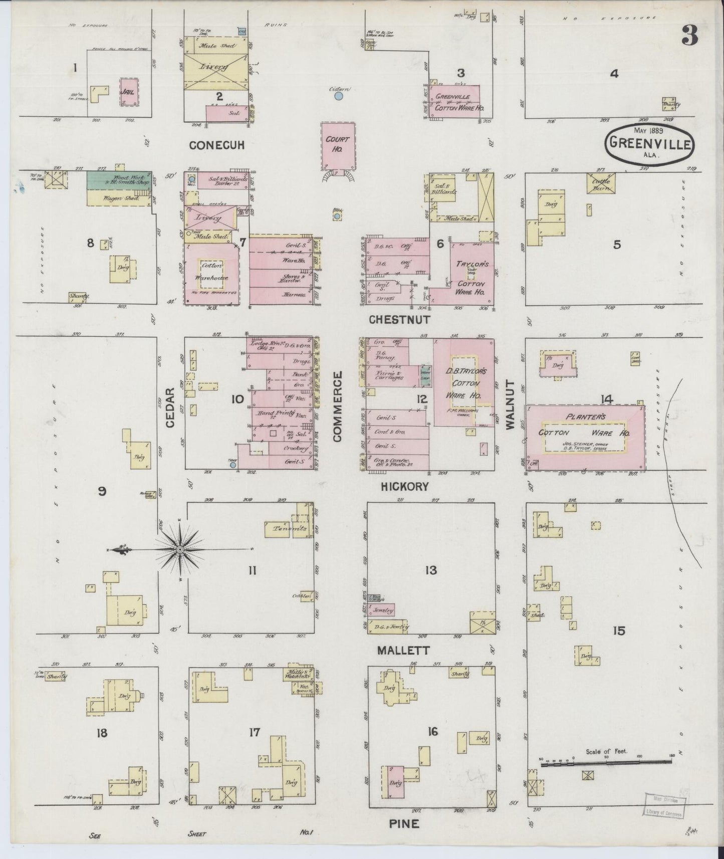 Sanborn Fire Insurance Map from Greenville, Butler County, Alabama (1889), Sheet #0003 - Historic Sanborn Fire Insurance Map Print, vintage old map wall art, antique decor, genealogy gift, Alabama Alabama map