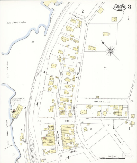 Sanborn Fire Insurance Map from Harrison, Kootenai County, Idaho (1908), Sheet #0003 - Historic Sanborn Fire Insurance Map Print, vintage old map wall art, antique decor, genealogy gift, Idaho Idaho map