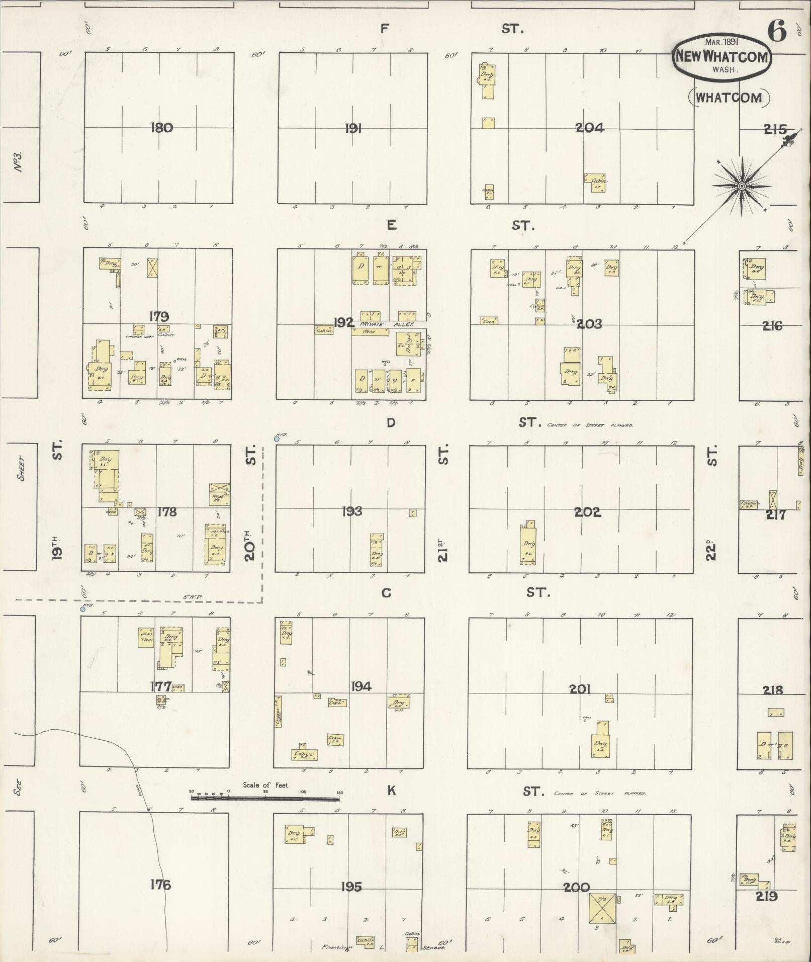 Sanborn Fire Insurance Map from New Whatcom, Whatcom County, Washington (1891), Sheet #0006 - Historic Sanborn Fire Insurance Map Print, vintage old map wall art, antique decor, genealogy gift, Washington Washington map