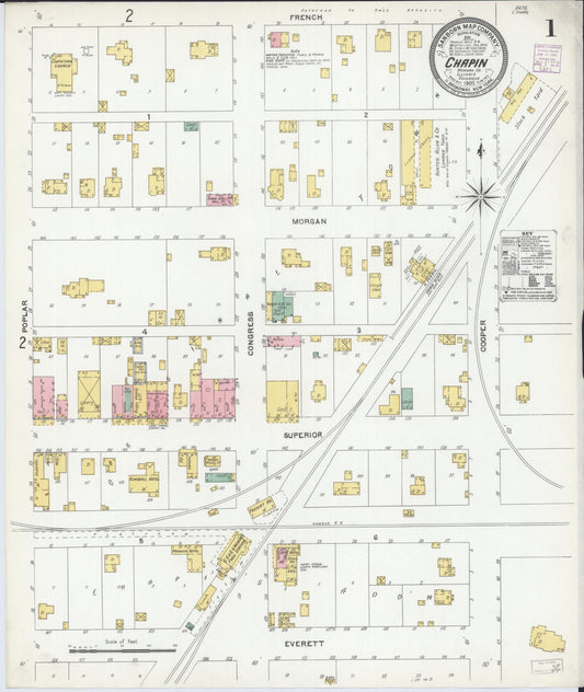 Sanborn Fire Insurance Map from Chapin, Morgan County, Illinois (1905), Sheet #0001 - Historic Sanborn Fire Insurance Map Print, vintage old map wall art, antique decor, genealogy gift, Illinois Illinois map