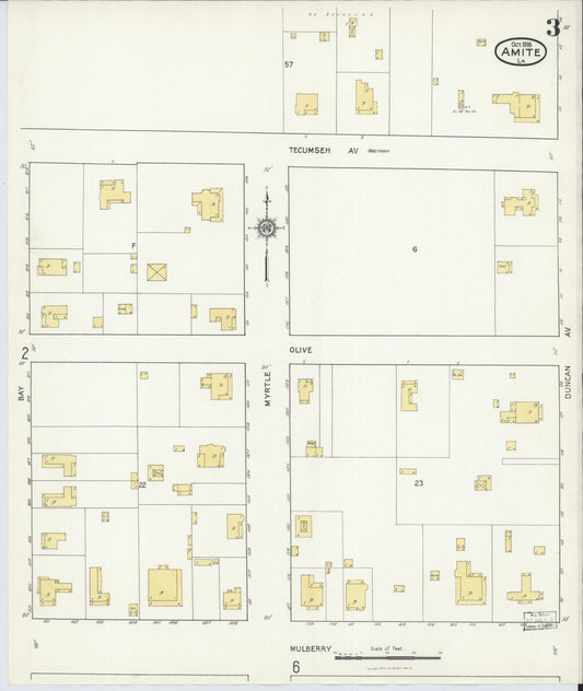 Sanborn Fire Insurance Map from Amite, Tangipahoa Parish, Louisiana (1916), Sheet #0003 - Historic Sanborn Fire Insurance Map Print, vintage old map wall art, antique decor, genealogy gift, Louisiana Louisiana map