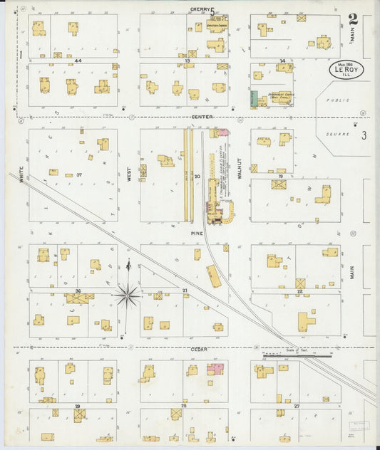 Sanborn Fire Insurance Map from Leroy, McLean County, Illinois (1906), Sheet #0002 - Historic Sanborn Fire Insurance Map Print, vintage old map wall art, antique decor, genealogy gift, Illinois Illinois map