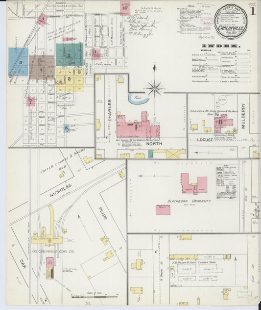 Sanborn Fire Insurance Map from Carlinville, Macoupin County, Illinois (1893), Sheet #0001 - Historic Sanborn Fire Insurance Map Print, vintage old map wall art, antique decor, genealogy gift, Illinois Illinois map