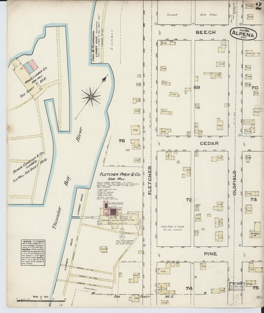 Sanborn Fire Insurance Map from Alpena, Alpena County, Michigan (1884), Sheet #0002 - Historic Sanborn Fire Insurance Map Print, vintage old map wall art, antique decor, genealogy gift, Michigan Michigan map